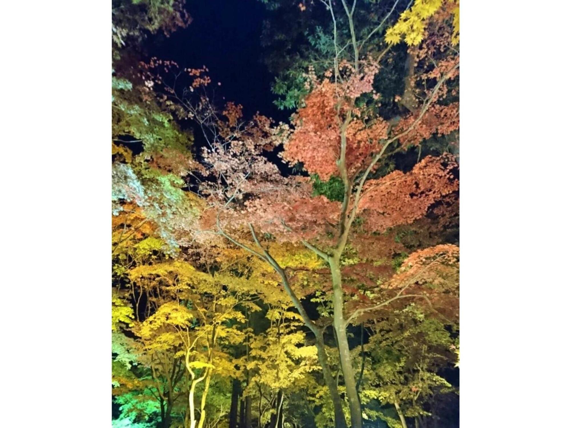 Hotel Tetora Yunokawaonsen - Vacation Stay 30623V Hakodate Exteriör bild