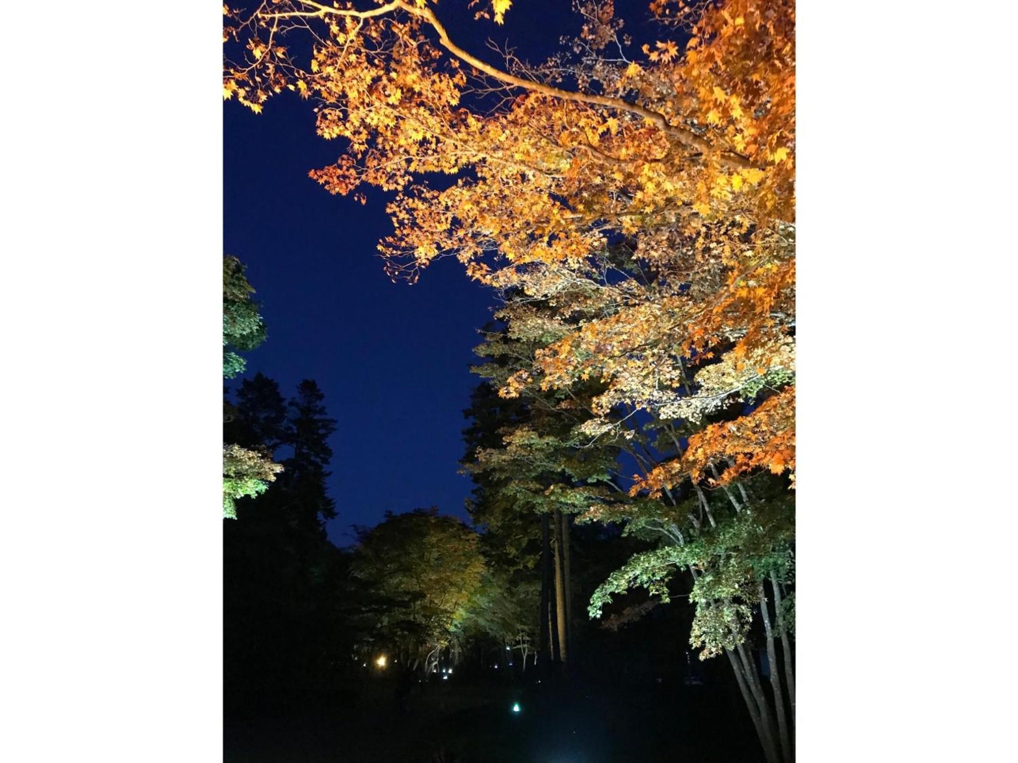 Hotel Tetora Yunokawaonsen - Vacation Stay 30623V Hakodate Exteriör bild